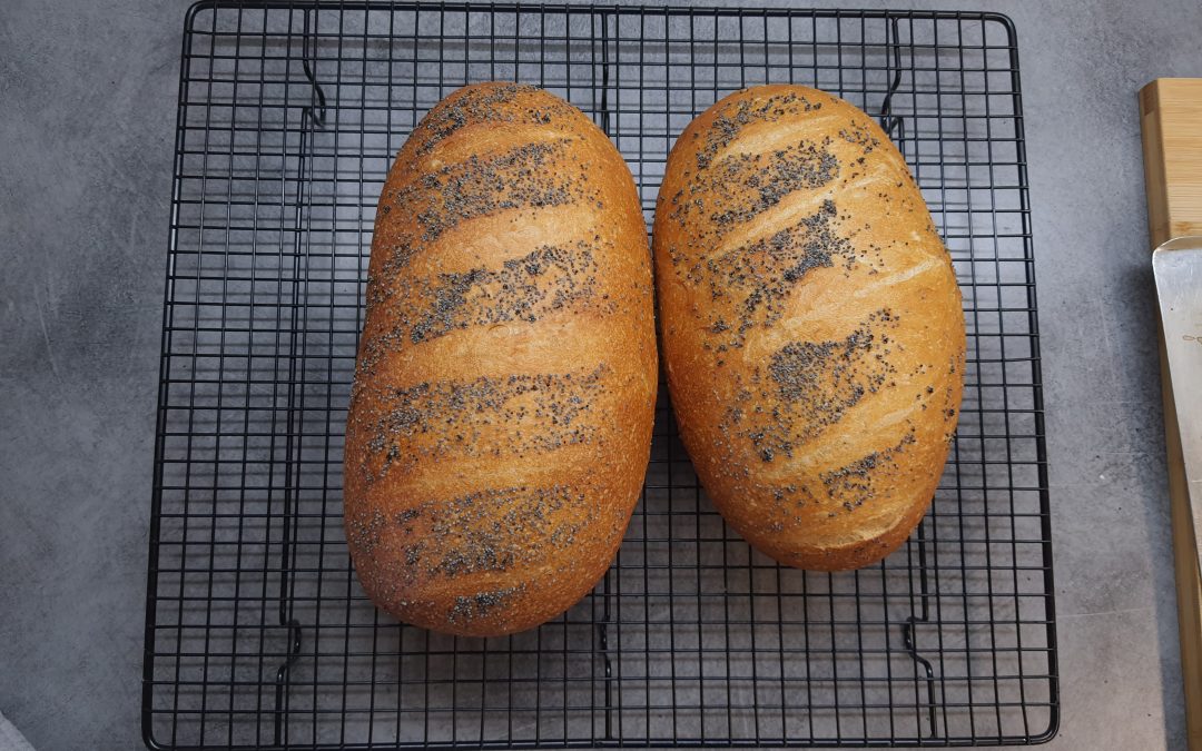 Brauð og Cricut verkefni